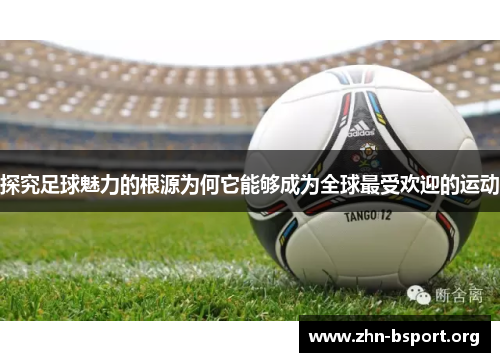 探究足球魅力的根源为何它能够成为全球最受欢迎的运动